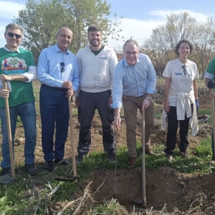 Εθελοντική δενδροφύτευση στη Νέα Μεσημβρία